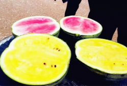 之前的吃瓜爆料有哪些,吃瓜爆料背后的真相与内幕